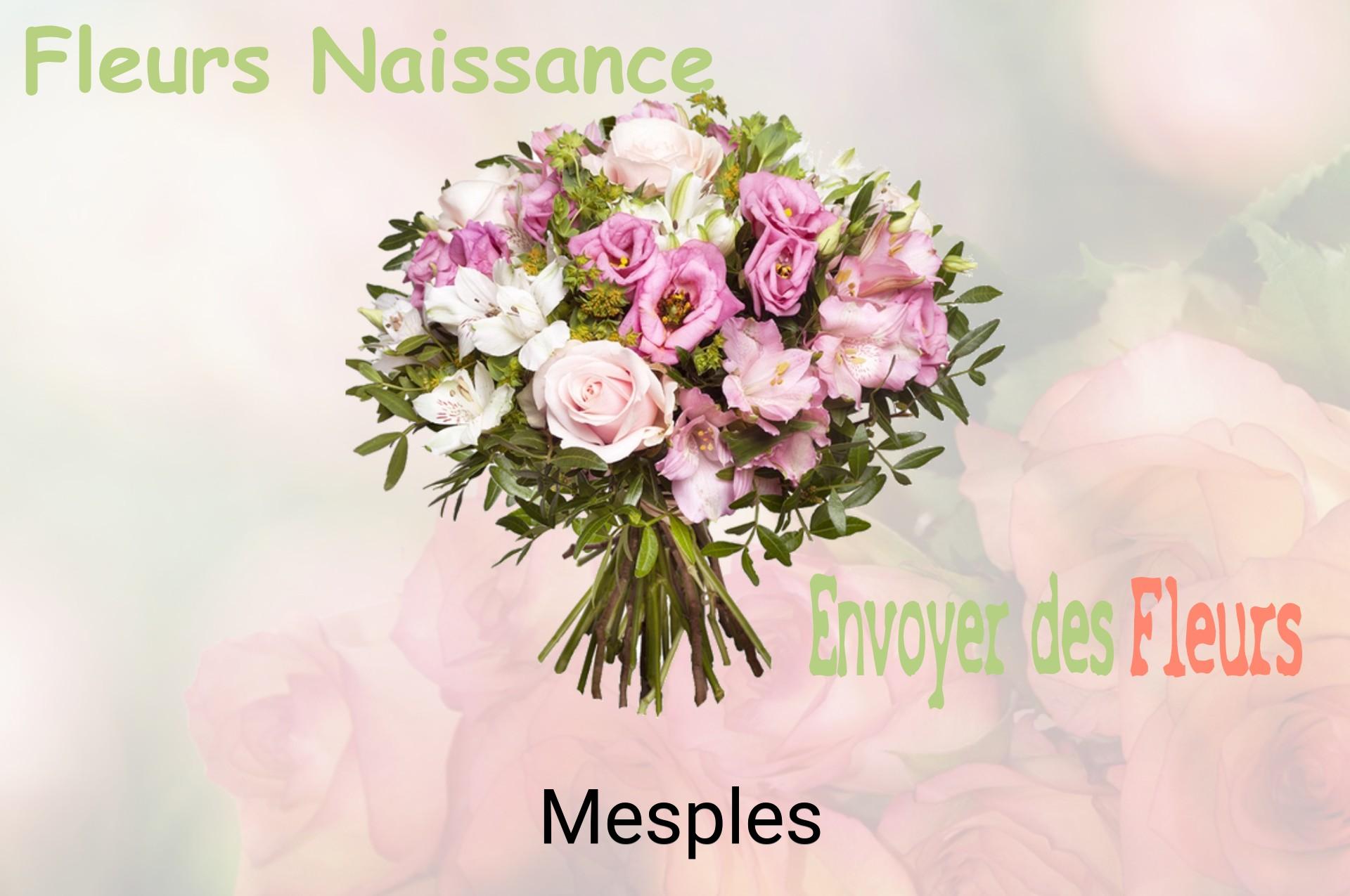 Bouquet de fleurs de naissance livré à Mesples