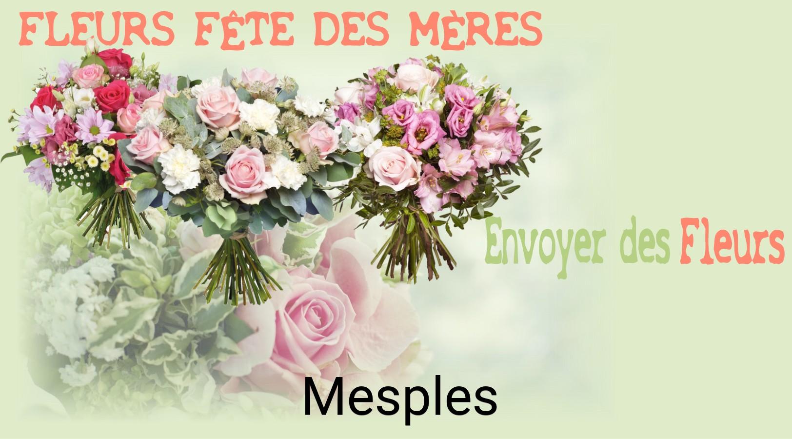 Bouquet de Fête des Mères livré à Mesples